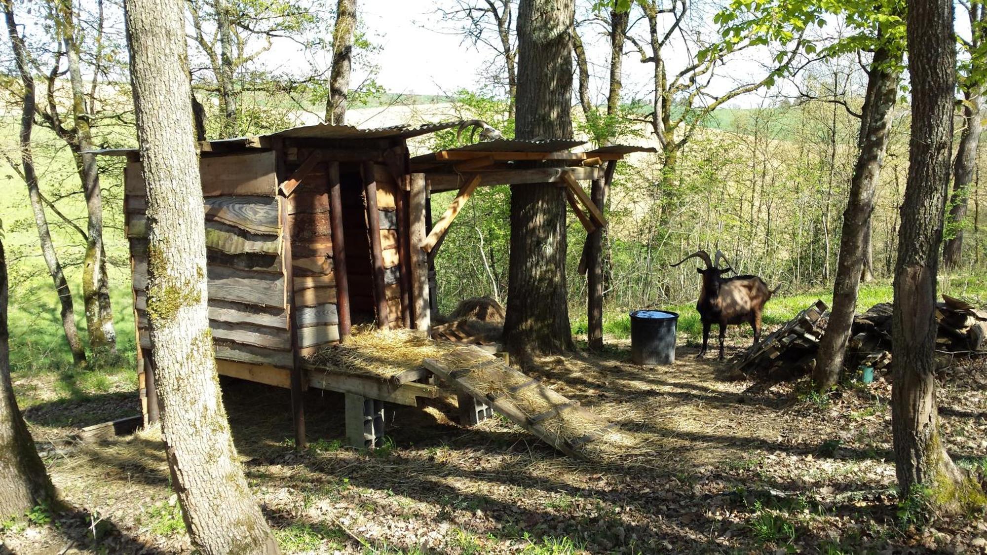 Villa L occitane Gimont Esterno foto
