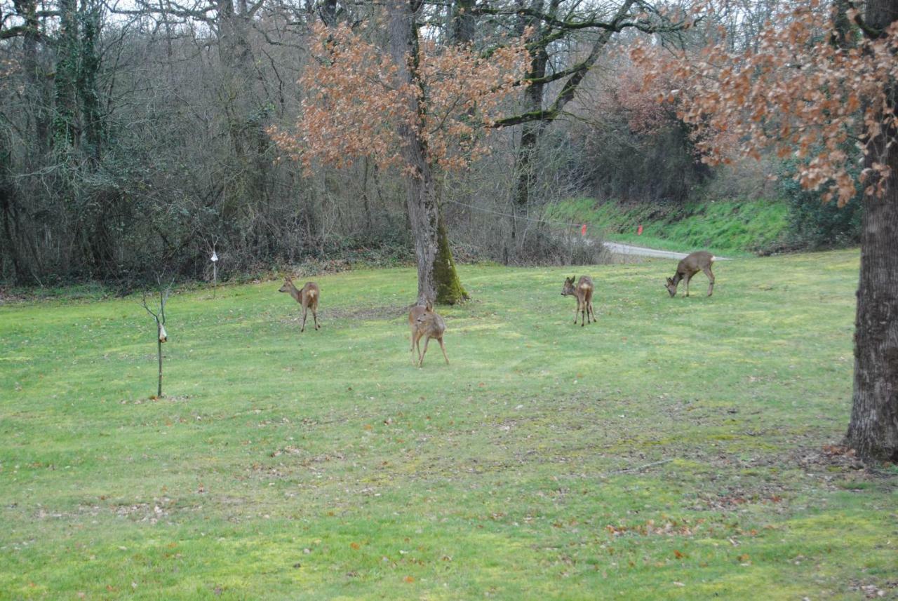 Villa L occitane Gimont Esterno foto